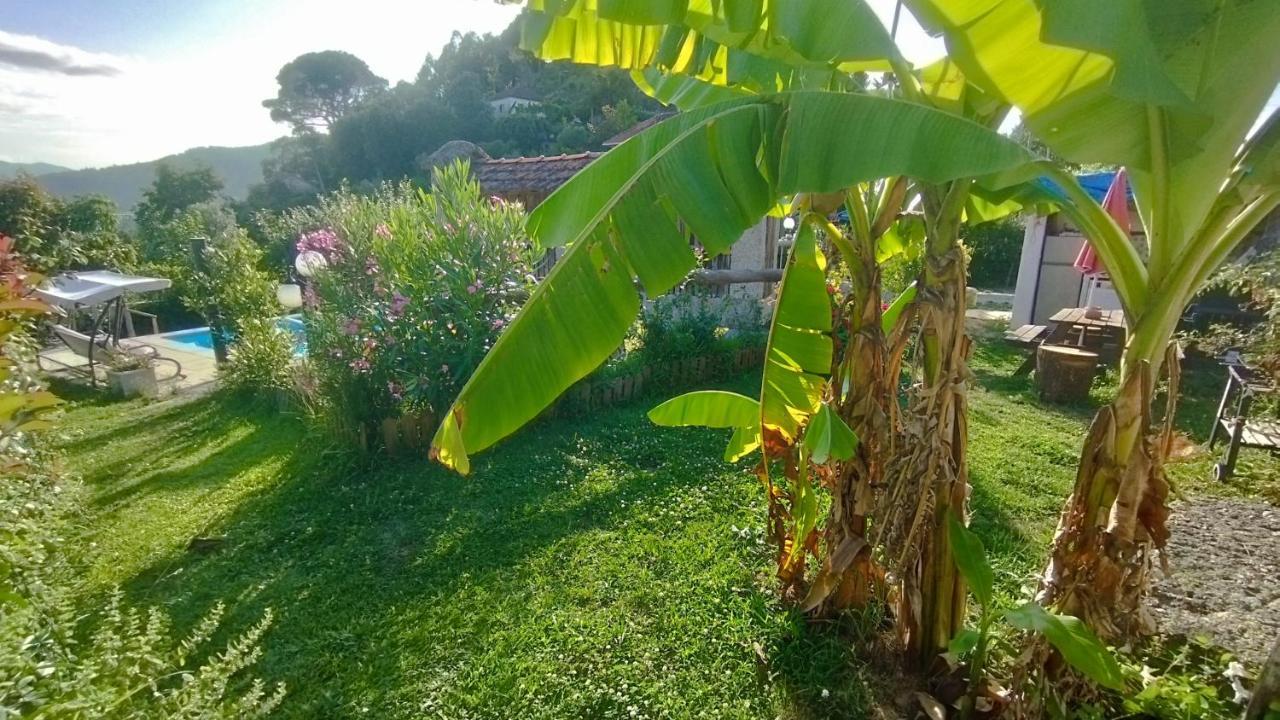 Alojamento De Crasto - Герес Екстериор снимка